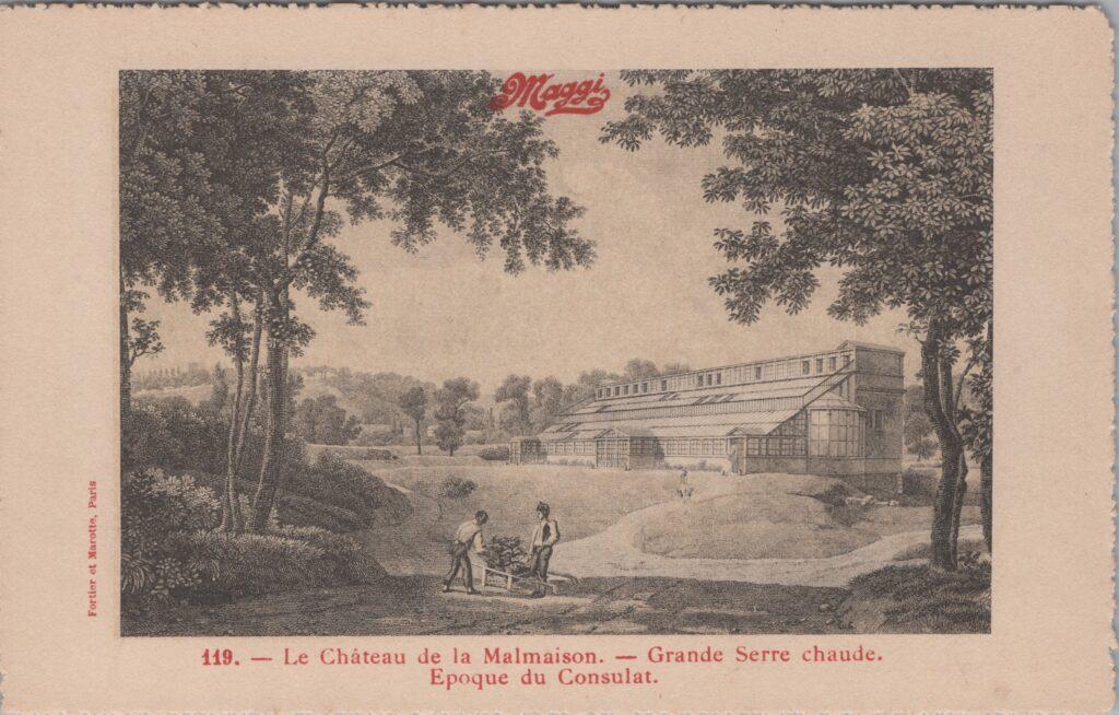 CPA publicitaire MAGGY - Le Château de la Malmaison, Grande Serre chaude (92)