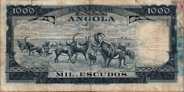 billets de banque 2584 scaled