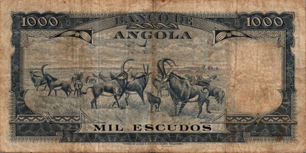 billets de banque 2596 scaled